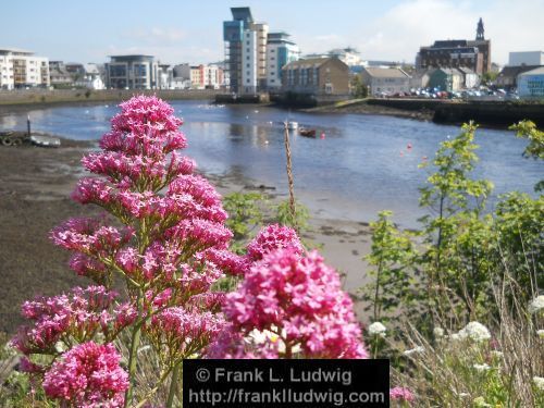 Sligo Harbour